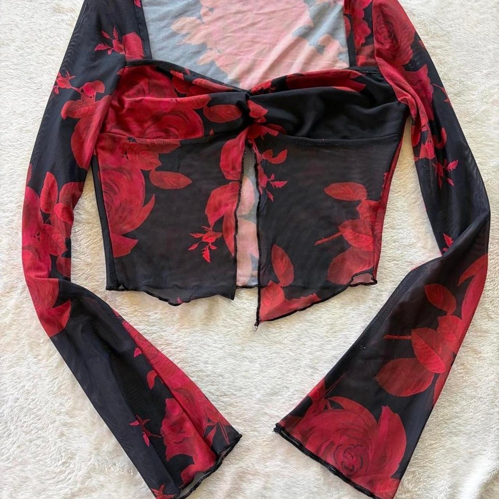 Whimsy goth black and red mesh long sleeve cropped blouse